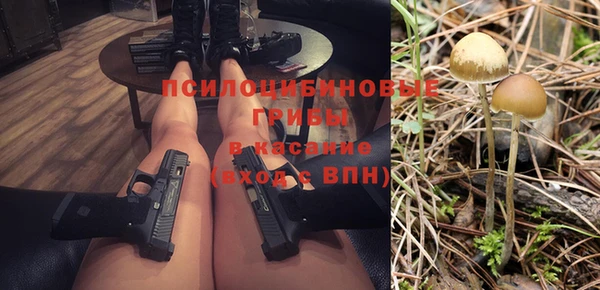 крисы Алексин