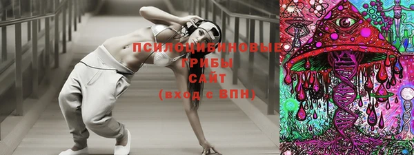 крисы Алексин