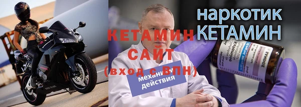 крисы Алексин