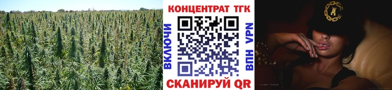 ТГК концентрат  OMG   Бикин  купить наркоту 