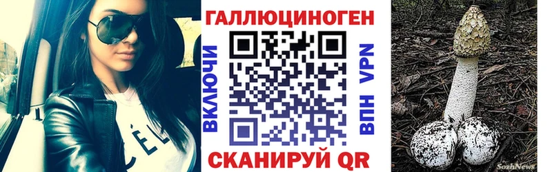 Галлюциногенные грибы мицелий  маркетплейс формула  Бикин  blacksprut рабочий сайт 